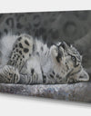 Snow Leopard Reclining - Cottage Gallery-wrapped Canvas