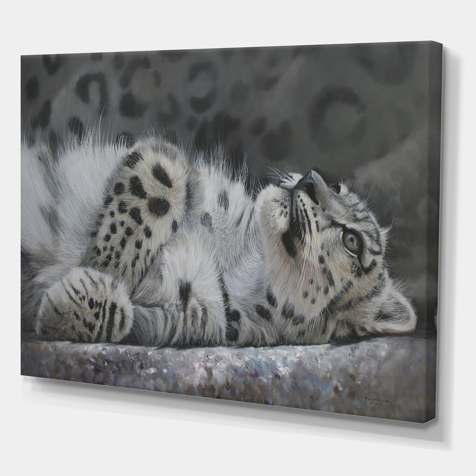 Snow Leopard Reclining - Cottage Gallery-wrapped Canvas
