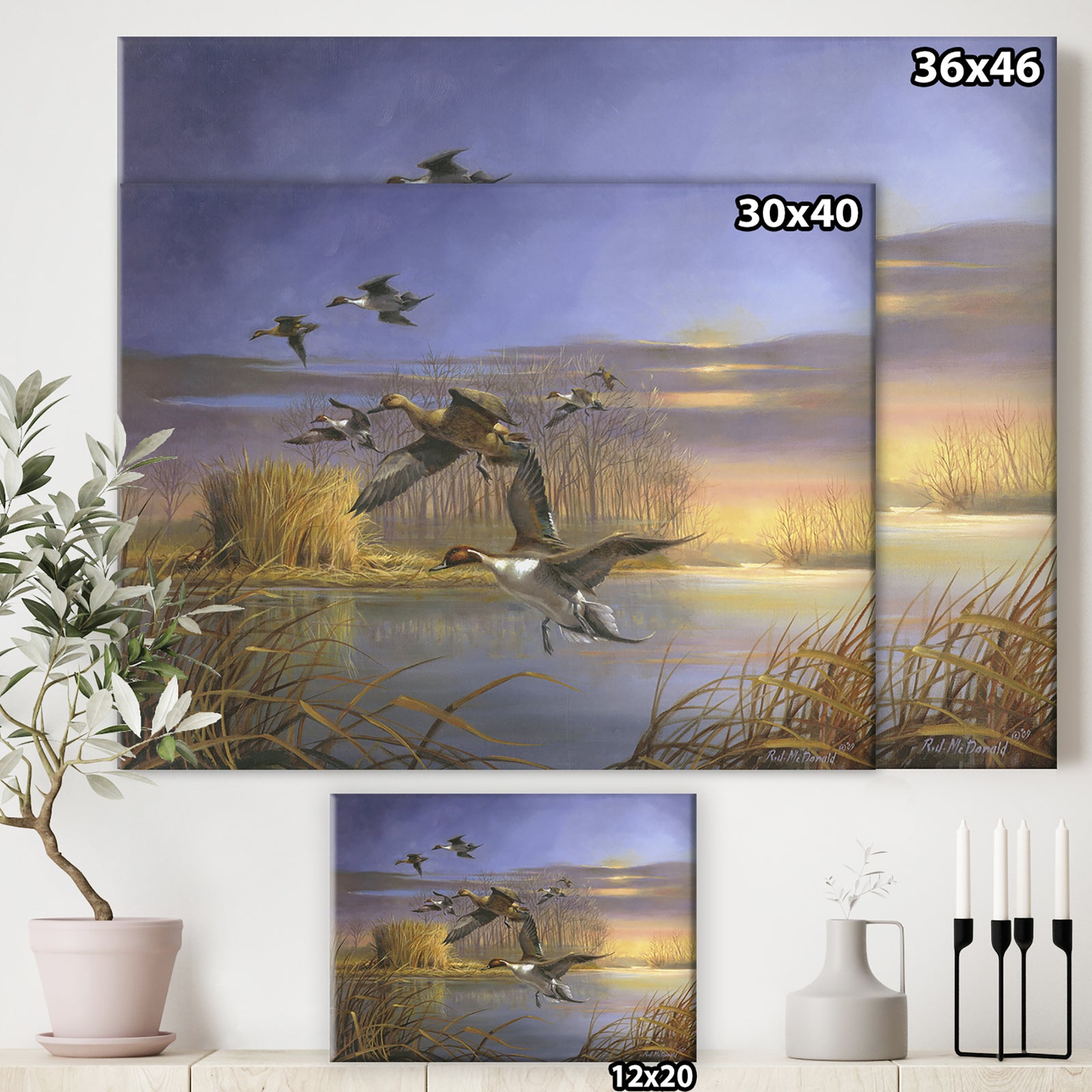 Pintail Magic - Lake House Gallery-wrapped Canvas