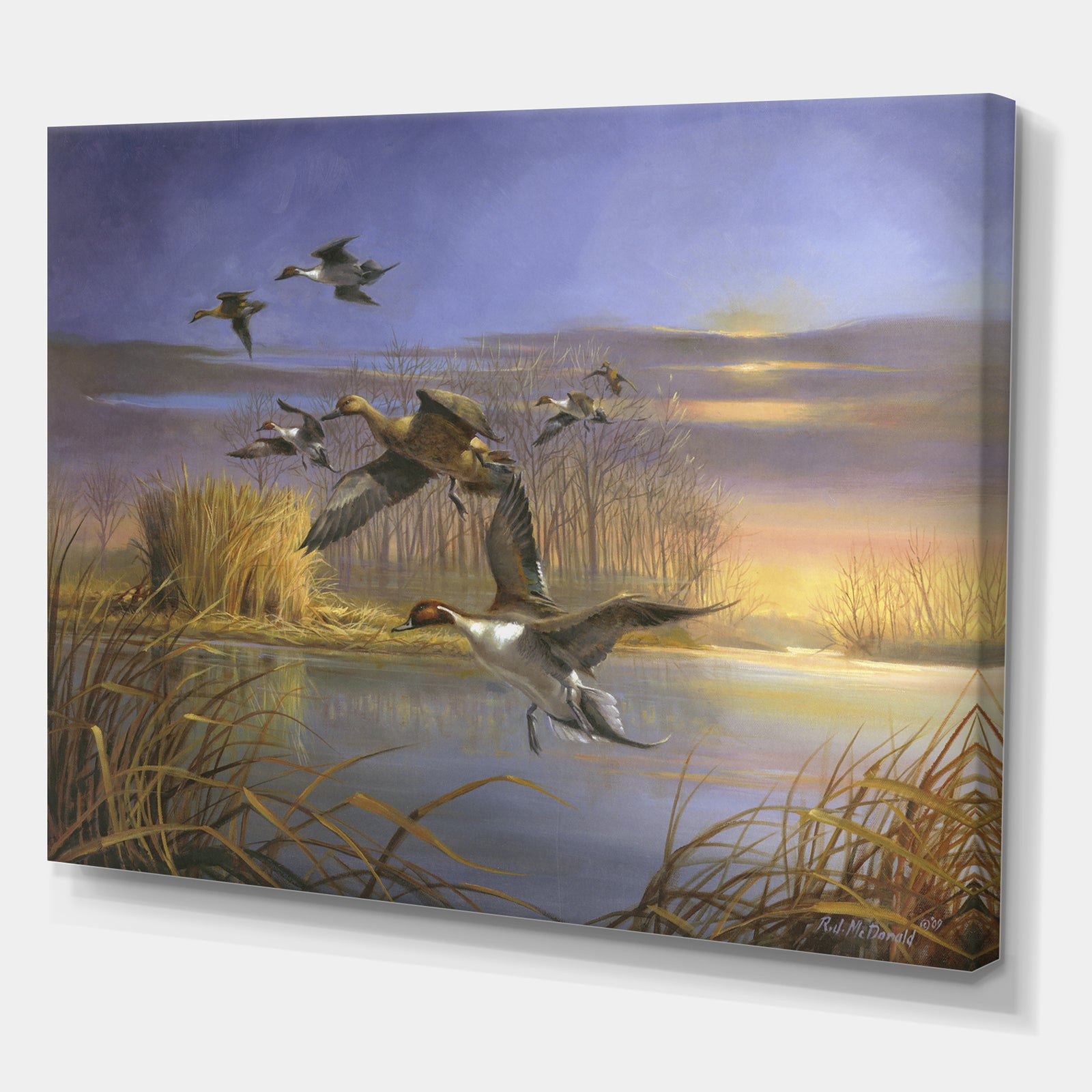 Pintail Magic - Lake House Gallery-wrapped Canvas