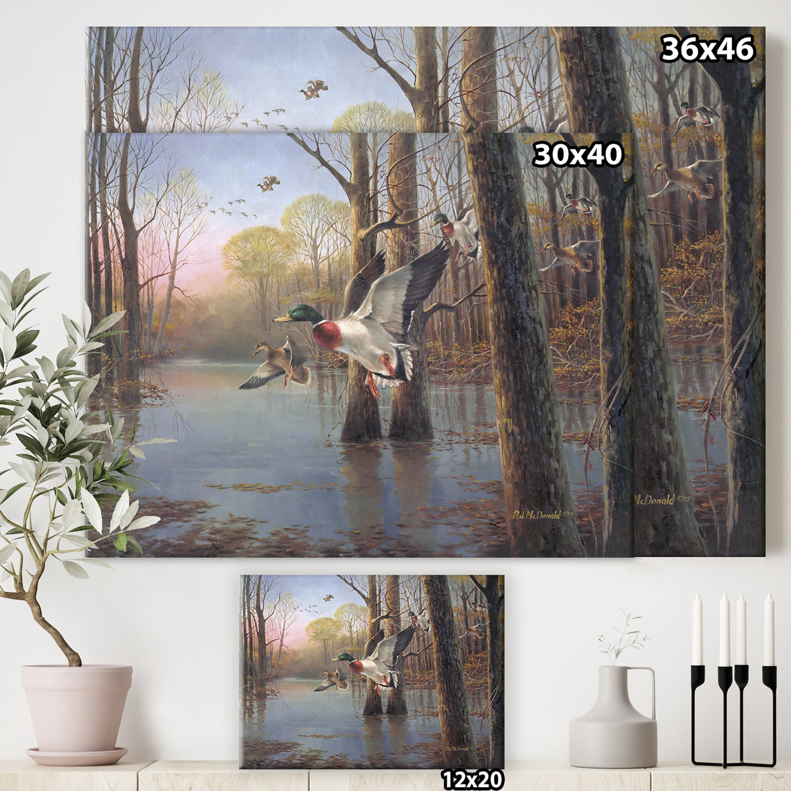 Through the Timber - Lake House Canvas Wall Art