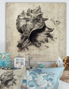 Sea Shell Old Style Sketch I - Nautical & Coastal Gallery-wrapped Canvas