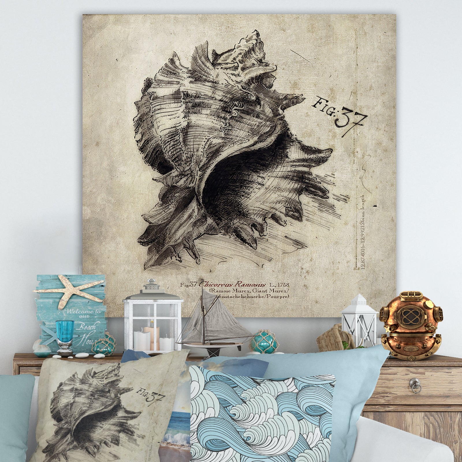Sea Shell Old Style Sketch I - Nautical & Coastal Gallery-wrapped Canvas