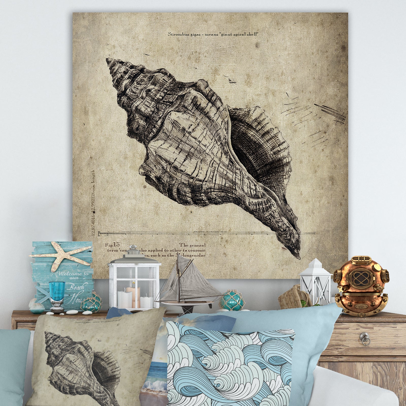 Sea Shell Old Style Sketch II - Nautical & Coastal Canvas Artwork