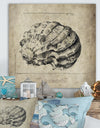 Sea Shell Old Style Sketch III - Nautical & Coastal Premium Canvas Wall Art