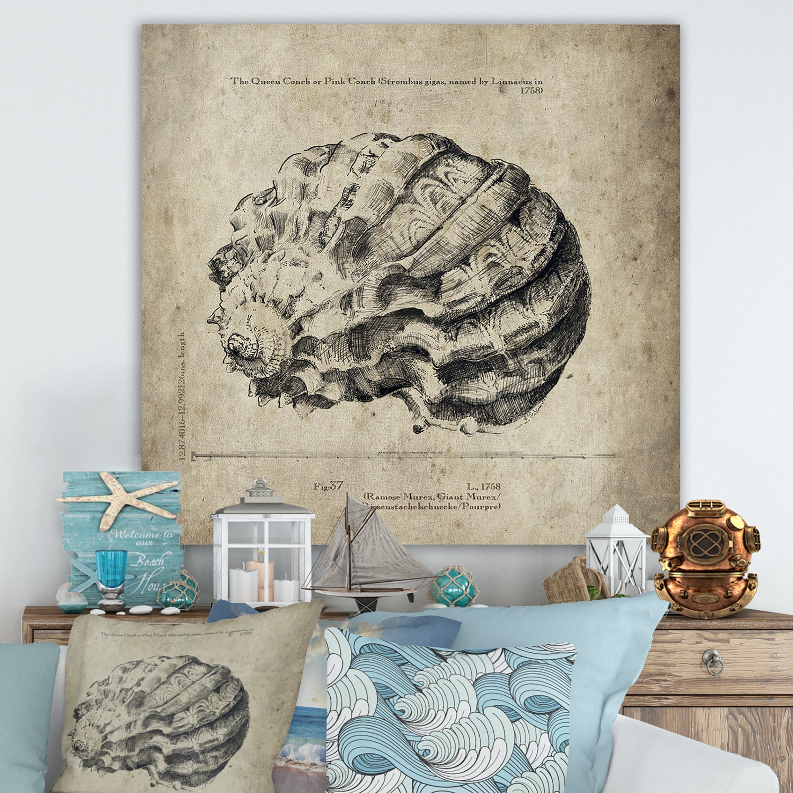 Sea Shell Old Style Sketch III - Nautical & Coastal Premium Canvas Wall Art