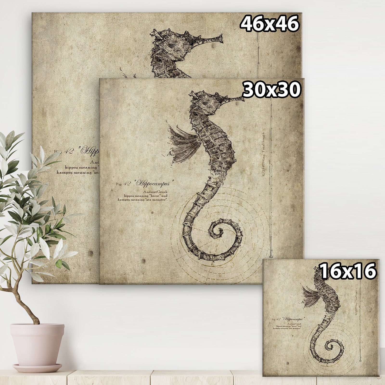 Seahorse Old Style Sketch - Nautical & Coastal Canvas Wall Art