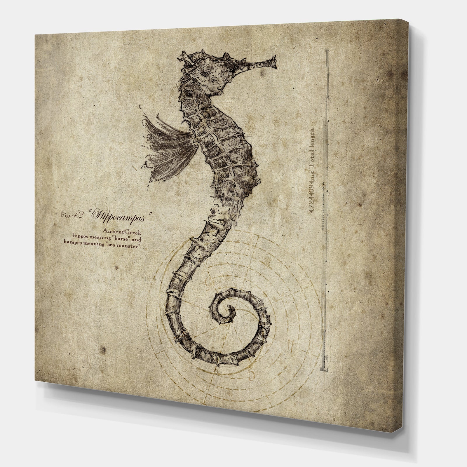 Seahorse Old Style Sketch - Nautical & Coastal Canvas Wall Art