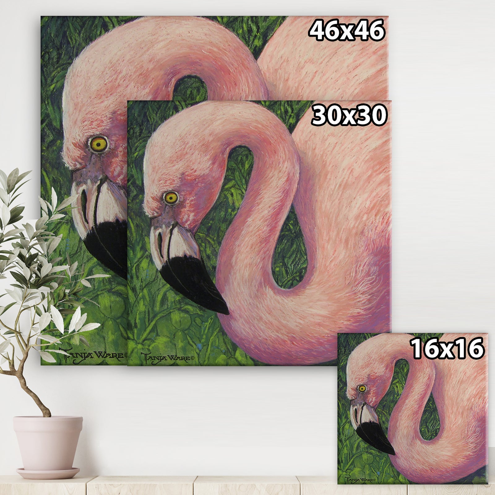 Flamboyant Flamingo - Cottage Gallery-wrapped Canvas