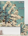 White Spring Blossom - Cottage Premium Canvas Wall Art