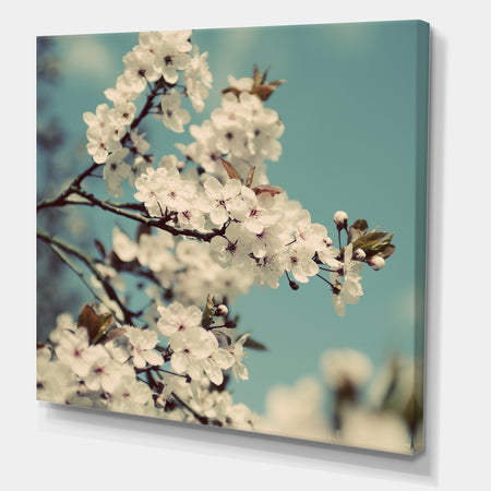 White Spring Blossom - Cottage Premium Canvas Wall Art