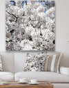 White Spring Blossom On Blue Sky - Cottage Canvas Wall Art