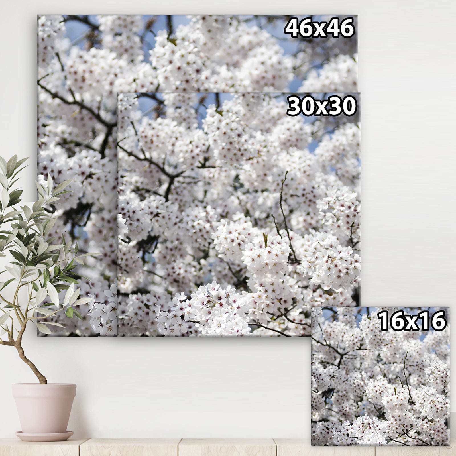 White Spring Blossom On Blue Sky - Cottage Canvas Wall Art