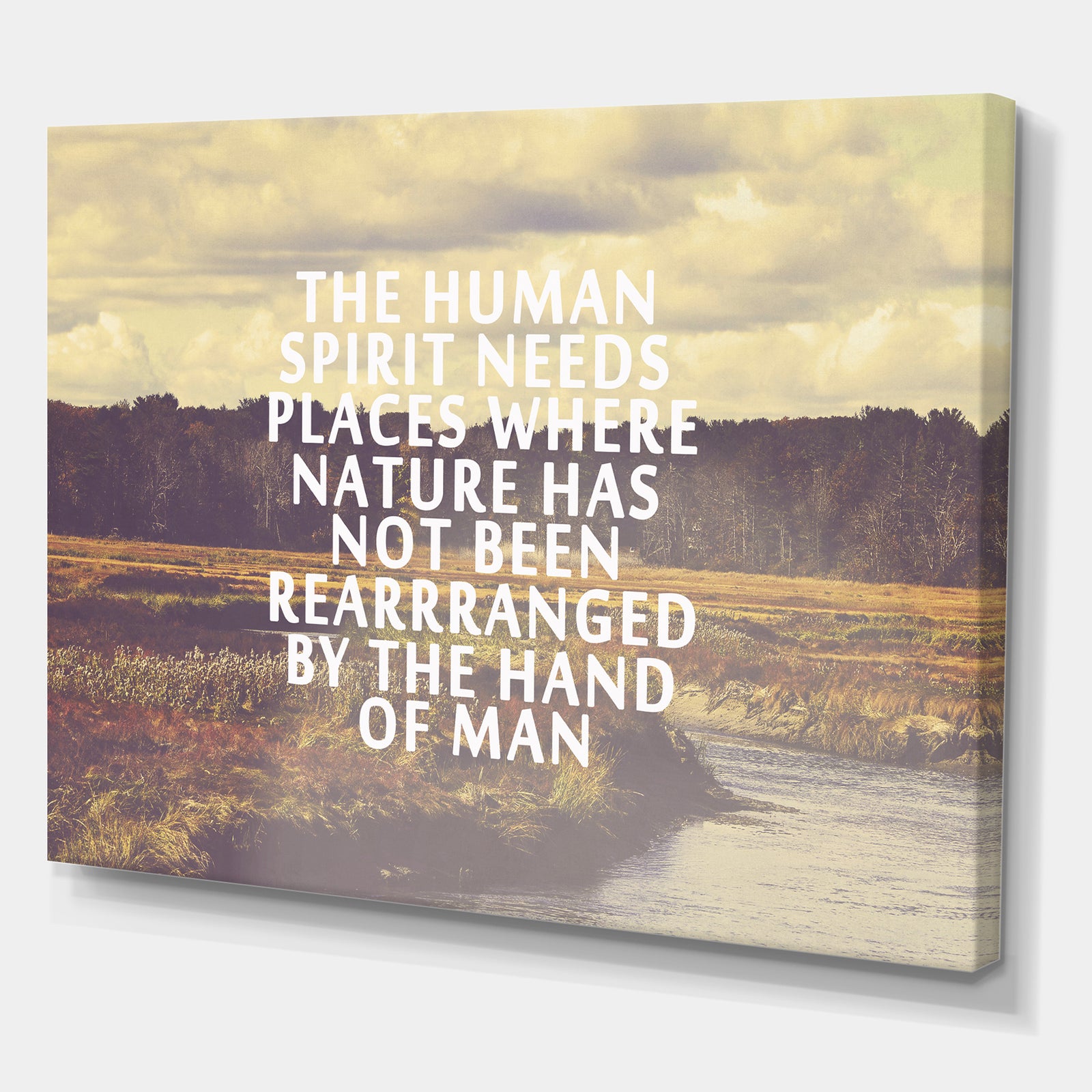 The Human Spirit - Cottage Canvas Art Print