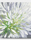 Flower Cleome Splash II - Traditional Floral Gallery-wrapped Canvas