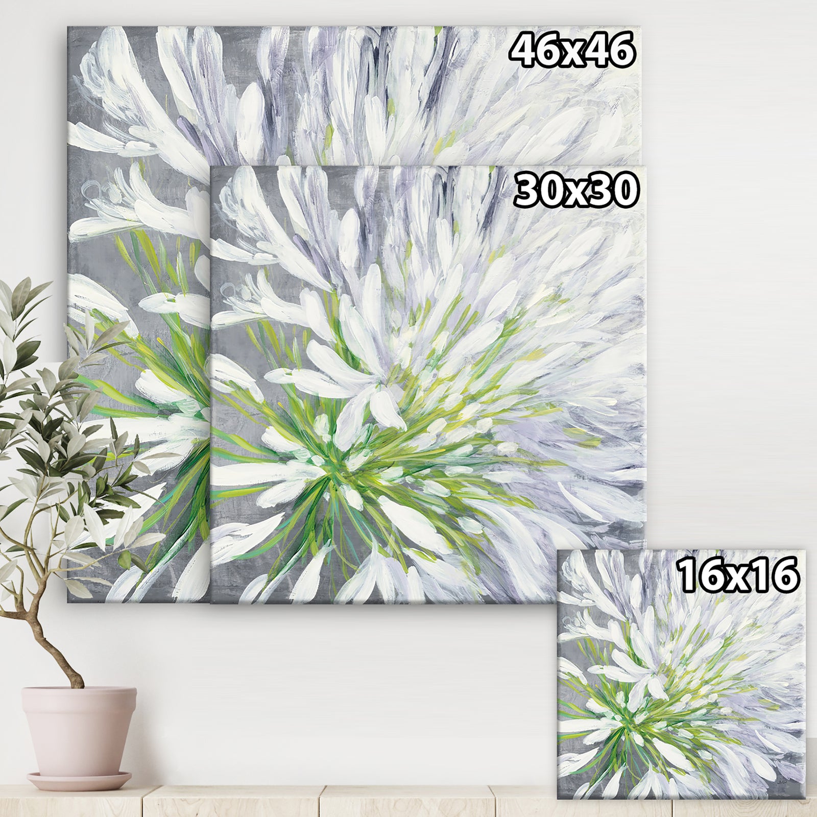 Flower Cleome Splash II - Traditional Floral Gallery-wrapped Canvas