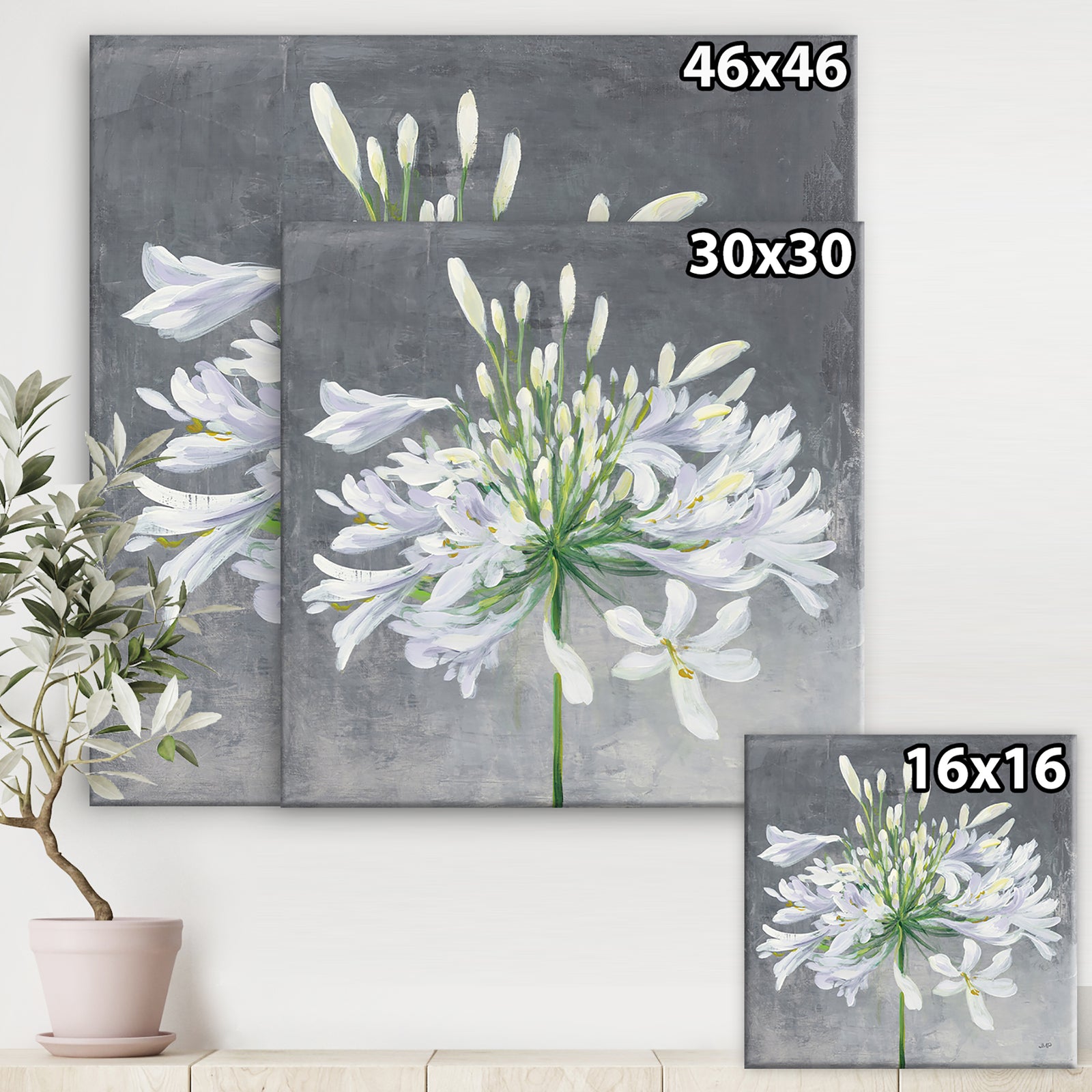 Flower Cleome Splash I - Traditional Floral Canvas Artwork