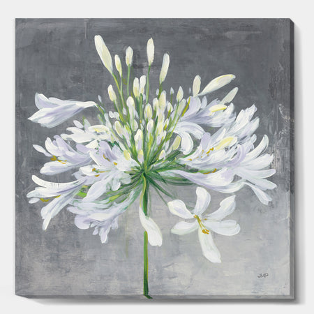 Flower Cleome Splash I - Traditional Floral Canvas Artwork