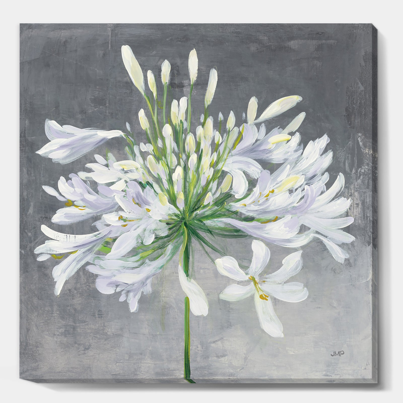 Flower Cleome Splash I - Traditional Floral Canvas Artwork