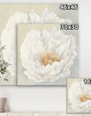 White Serene Peony - Cottage Canvas Artwork