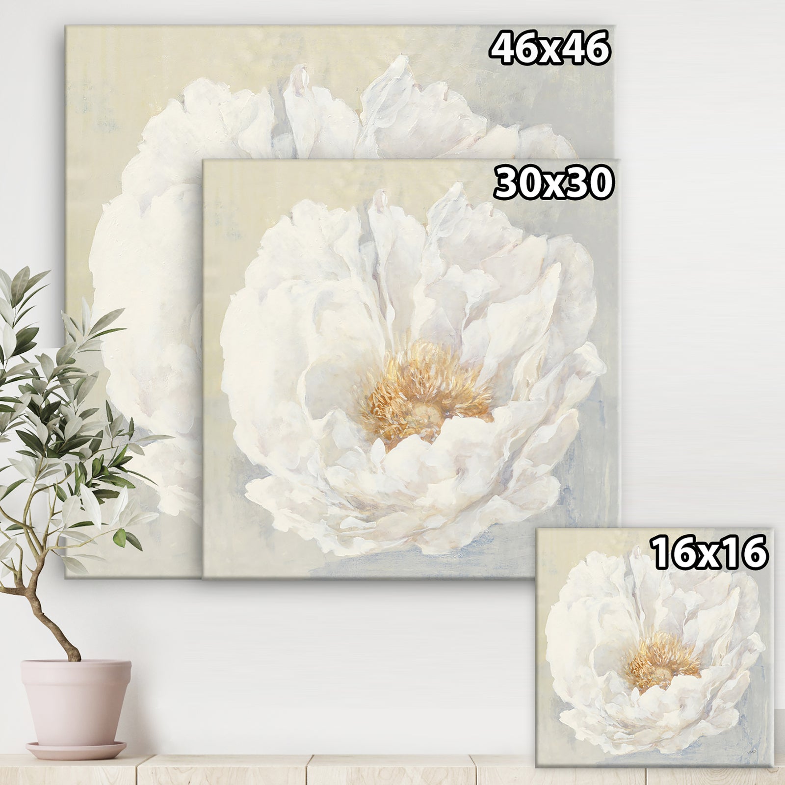 White Serene Peony - Cottage Canvas Artwork