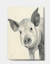 Piglet Farmhouse Animal in Black and White - Farmhouse Animals Gallery-wrapped Canvas