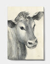 Cow Farmhouse Animal in Black and White - Farmhouse Animals Canvas Artwork