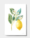 Floursack Lemon I - Cabin & Lodge Premium Canvas Wall Art