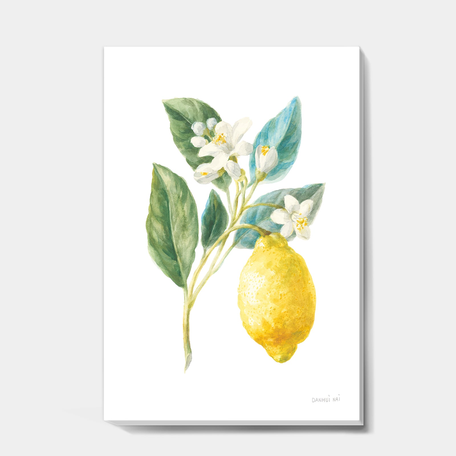 Floursack Lemon I - Cabin & Lodge Premium Canvas Wall Art
