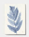 Forest Ferns Blue - Cottage Premium Canvas Wall Art