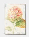 Floursack Florals VIII - Cottage Gallery-wrapped Canvas