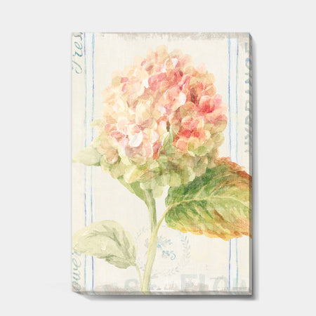 Floursack Florals VIII - Cottage Gallery-wrapped Canvas