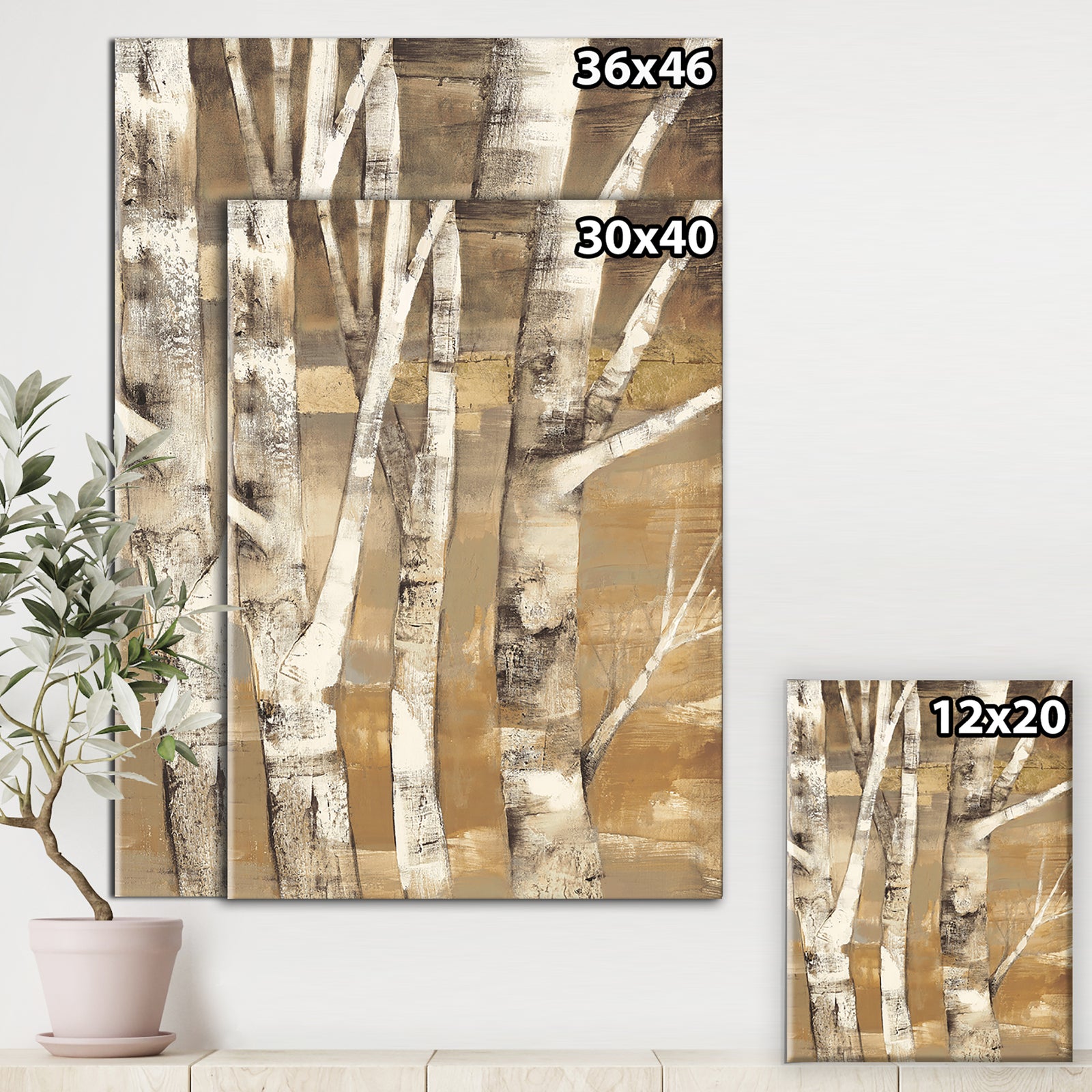 Natural Birch Forest I - Traditional Canvas Artwork