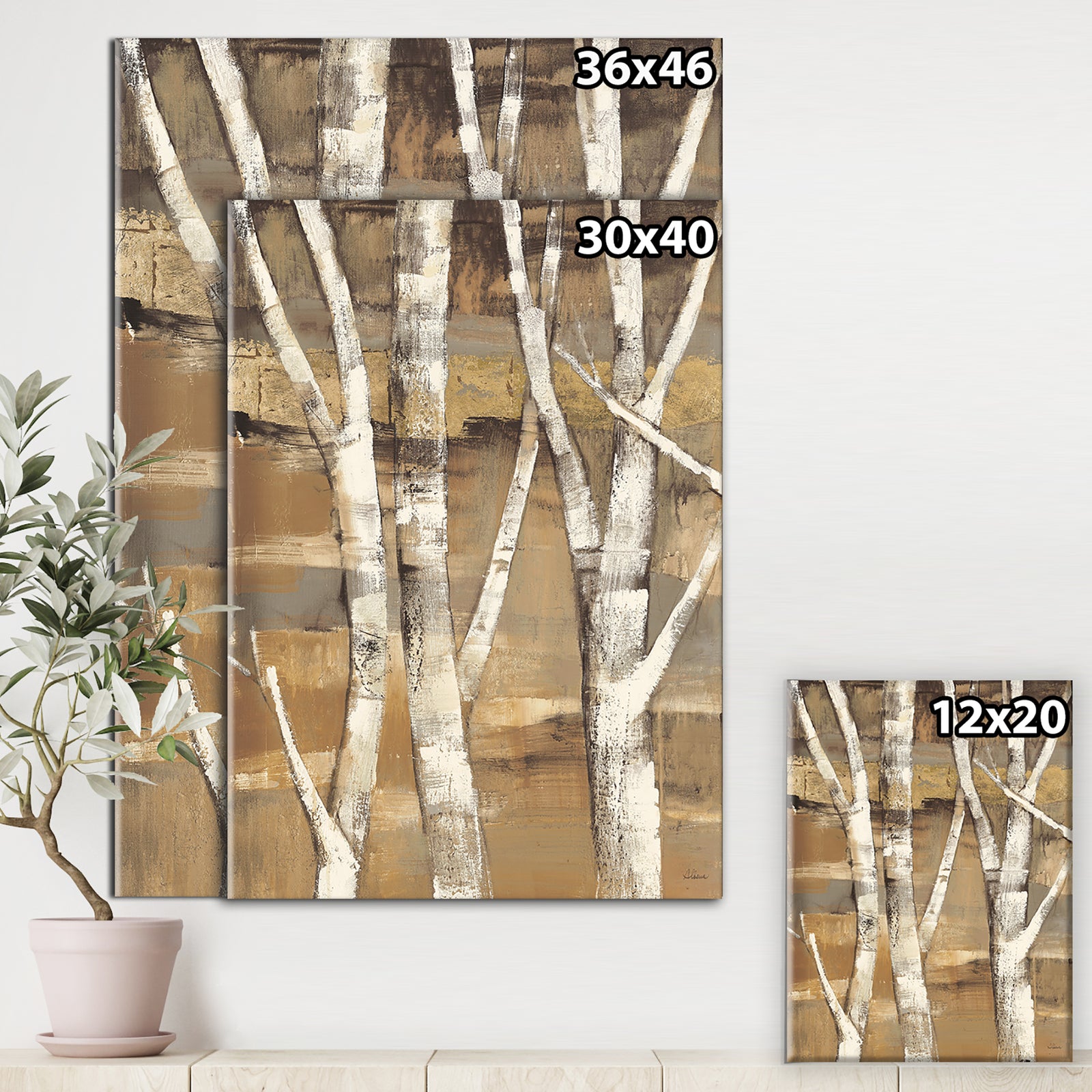 Natural Birch Forest II - Traditional Canvas Art