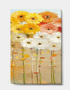 Daisies Fall I - Floral & Botanical Canvas Art