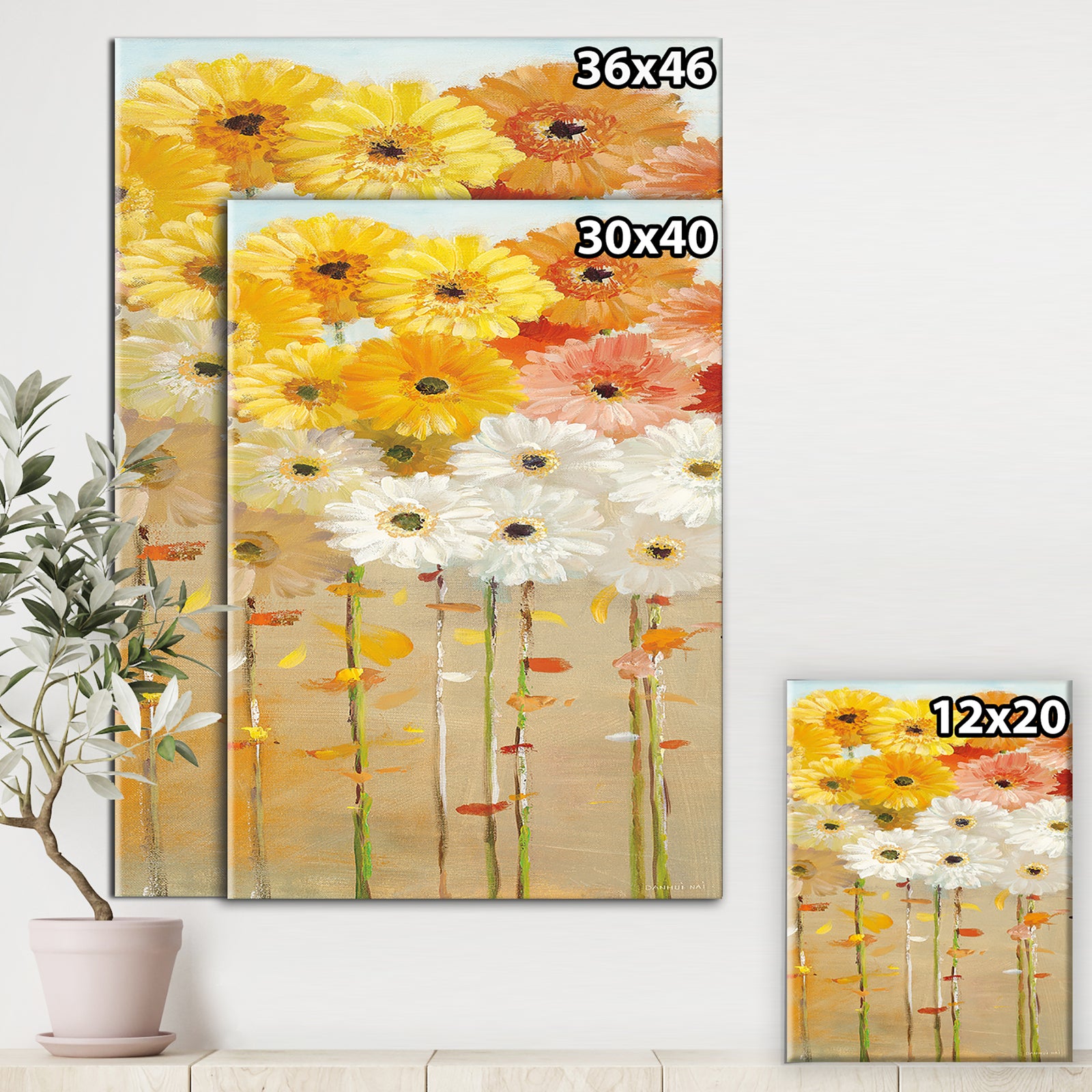 Daisies Fall I - Floral & Botanical Canvas Art