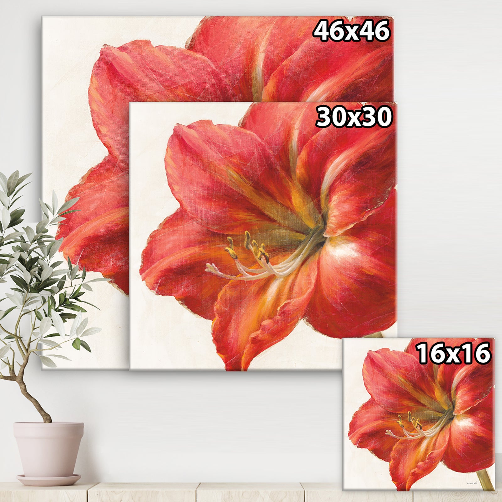 Vivid Red Amaryllis - Floral & Botanical Canvas Artwork