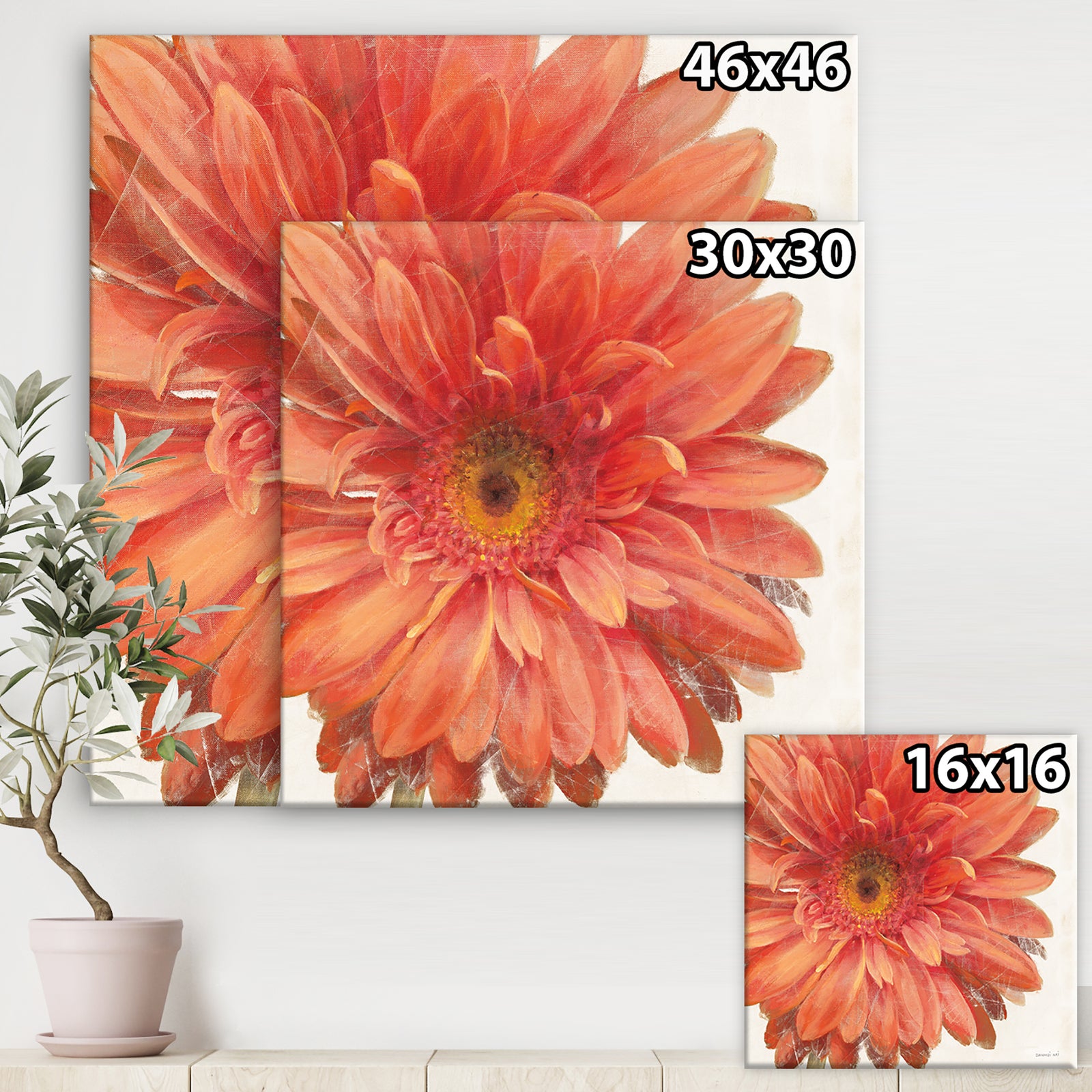 Vivid Red Daisy - Floral & Botanical Canvas Art
