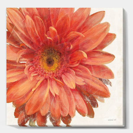 Vivid Red Daisy - Floral & Botanical Canvas Art