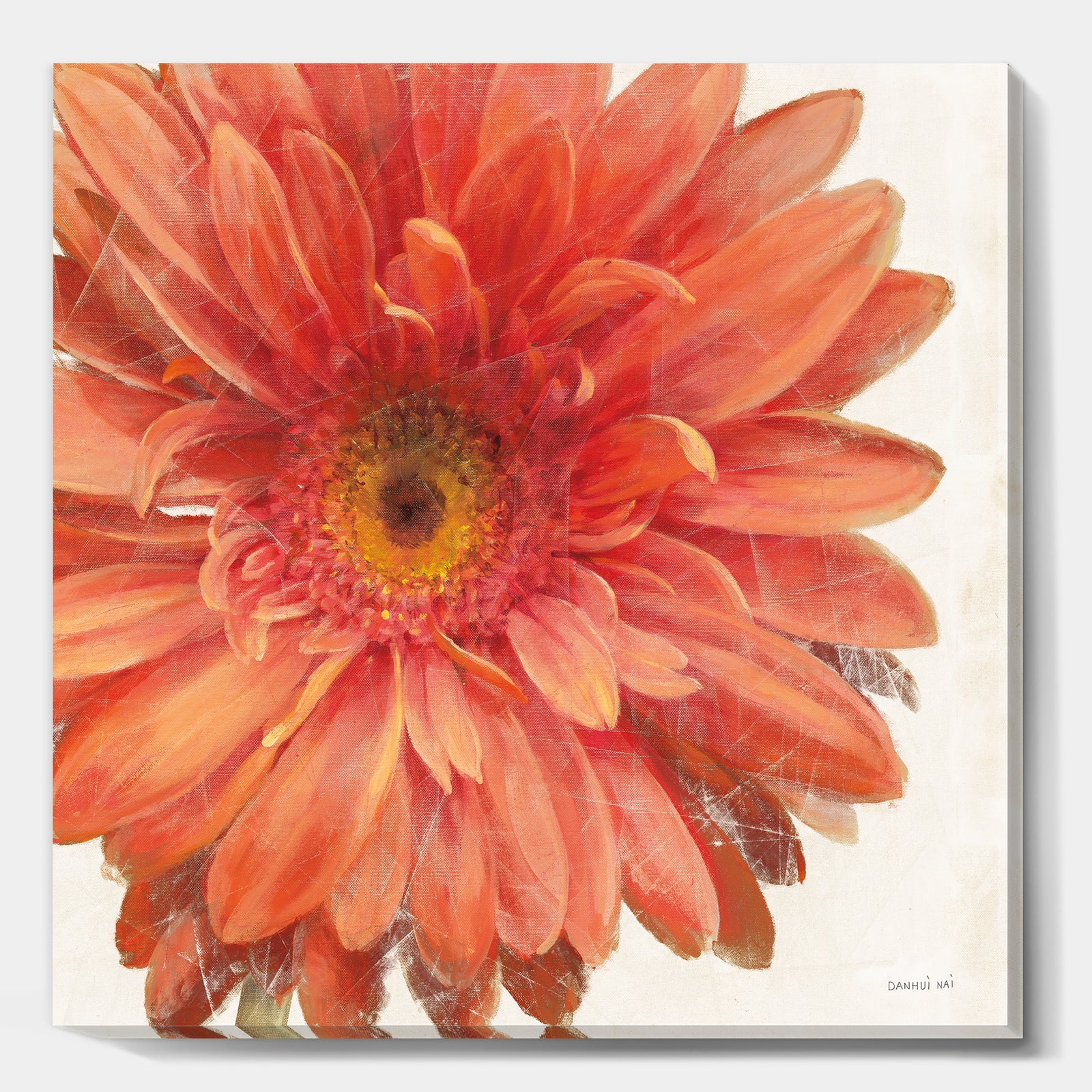 Vivid Red Daisy - Floral & Botanical Canvas Art