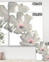 Shabby Gray Blush Cosmo II - Shabby Chic Premium Canvas Wall Art