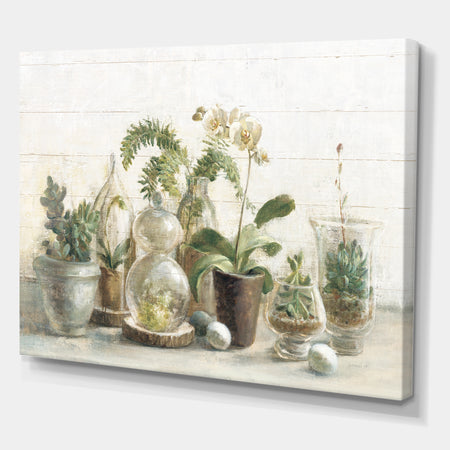 Greenhouse Orchids - Floral Cottage Canvas Artwork