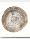 Circle natural elements I - Farmhouse Gallery-wrapped Canvas