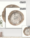 Circle natural elements I - Farmhouse Gallery-wrapped Canvas