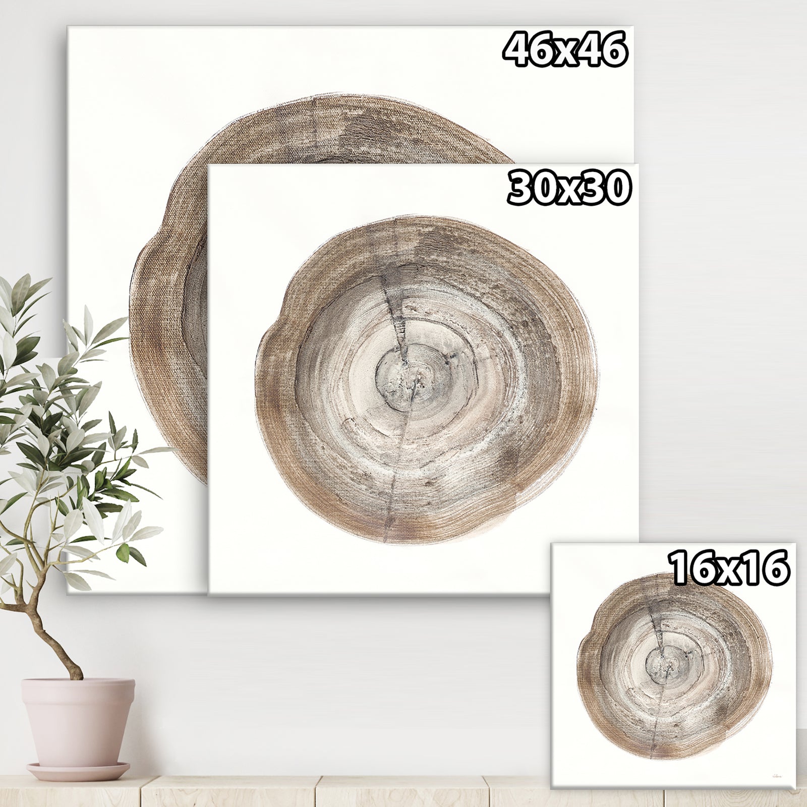 Circle natural elements I - Farmhouse Gallery-wrapped Canvas
