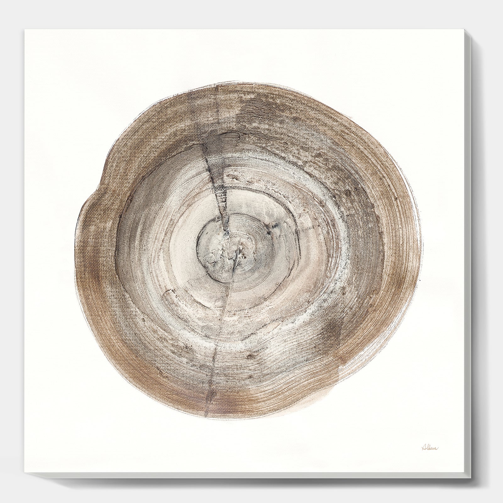 Circle natural elements I - Farmhouse Gallery-wrapped Canvas