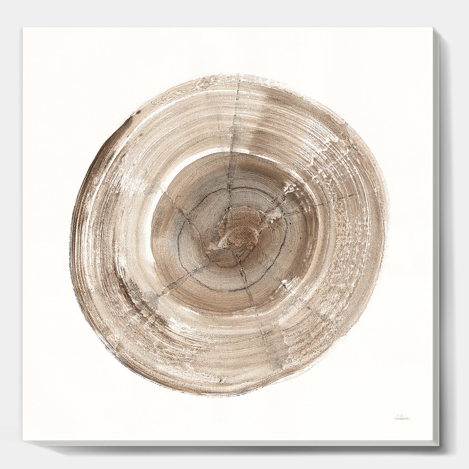 Circle natural elements II - Farmhouse Canvas Artwork