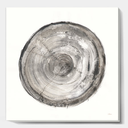 Circle natural elements III - Farmhouse Canvas Art