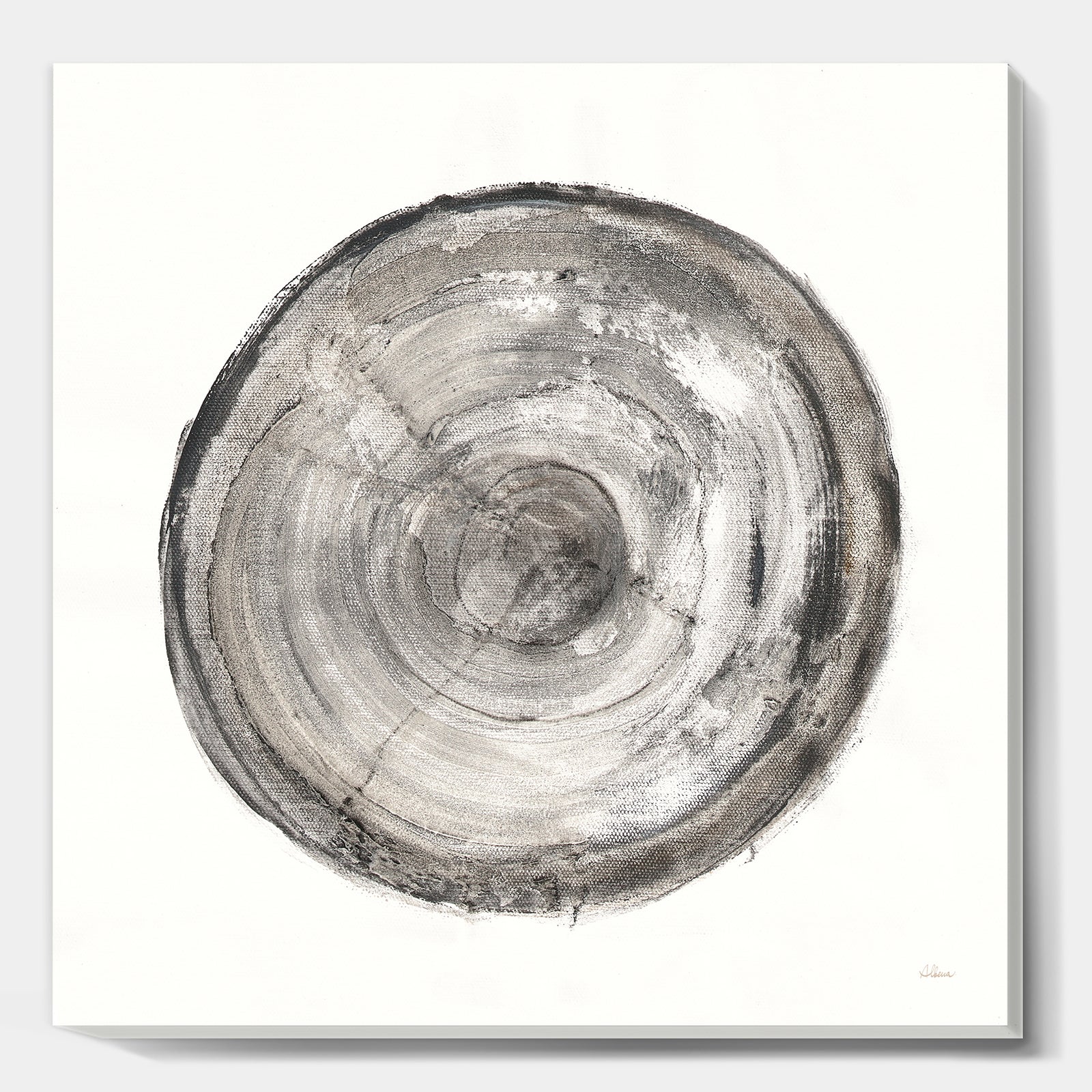 Circle natural elements III - Farmhouse Canvas Art