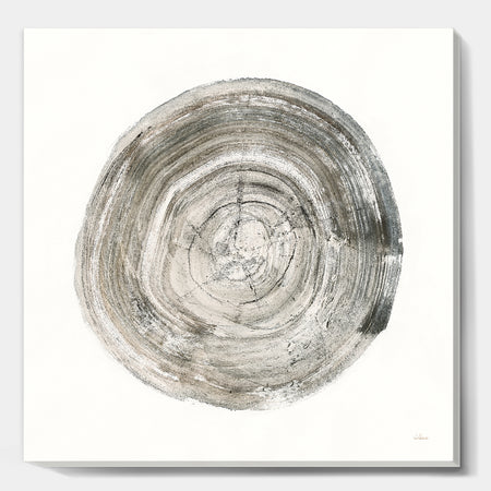 Circle natural elements IV - Farmhouse Premium Canvas Wall Art